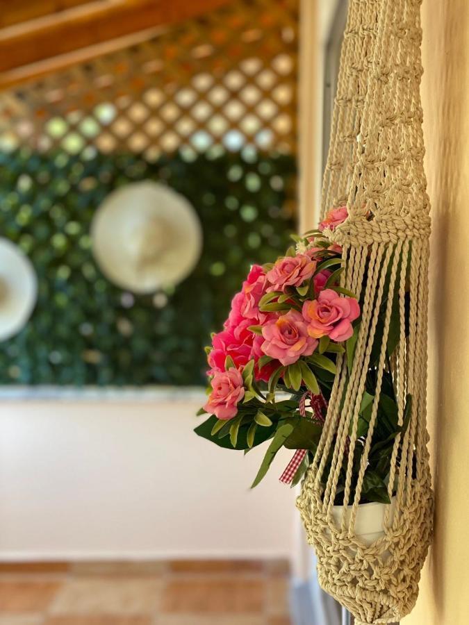 Bed & Breakfast Areti